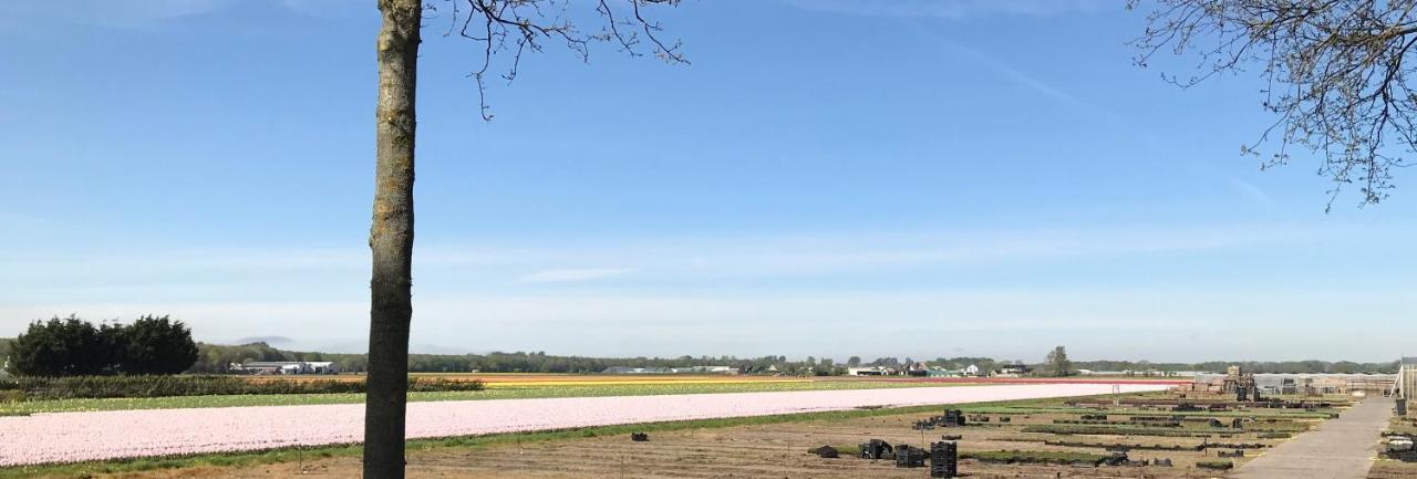 Bungalow 221 Noordwijkerhout Eksteriør bilde